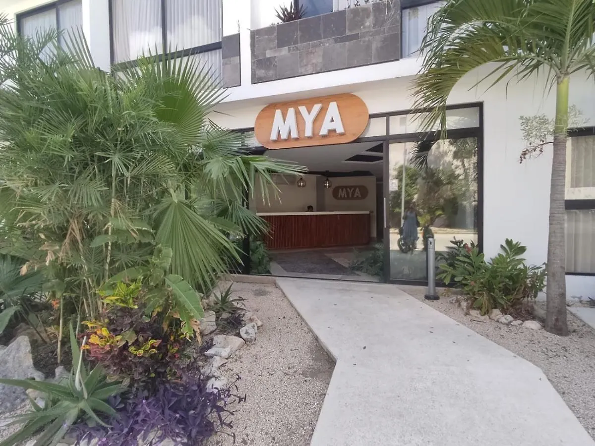 Nuevo Estudio Con Terraza Totalmente Equipado Tulum Aldea Zama
